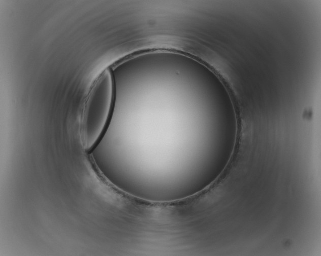X0000112970936200908271138