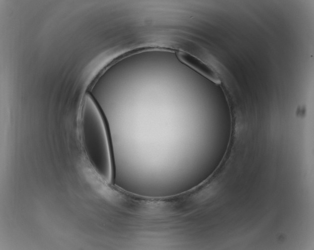X0000112970940200908271138