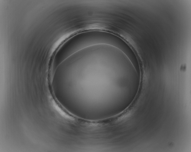 X0000112970941200908271138