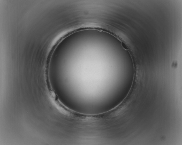 X0000112970942200908271138