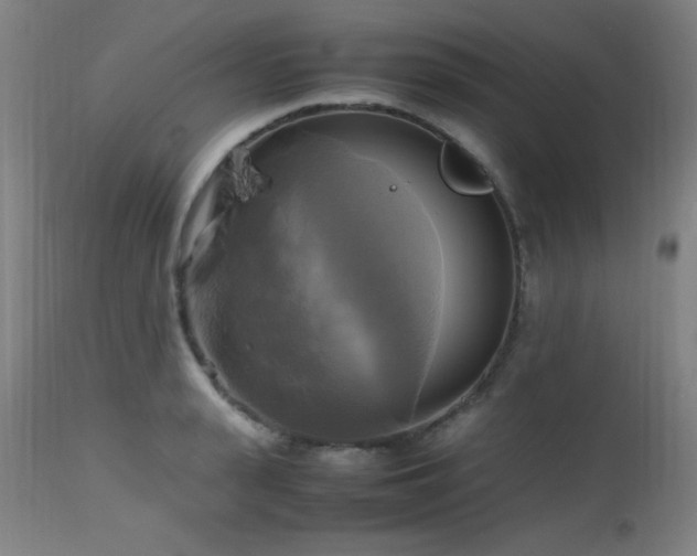 X0000112970943200908271138