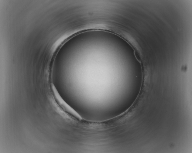 X0000112970944200908271138