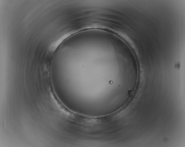 X0000112970945200908271138