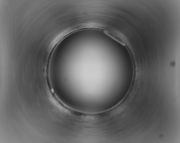 X0000112970946200908271138