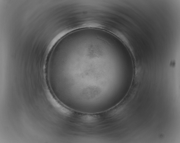X0000112970947200908271138