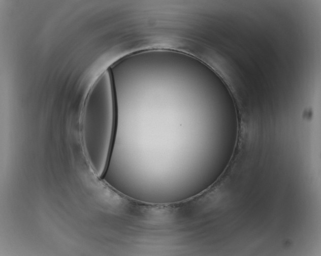 X0000112970948200908271138