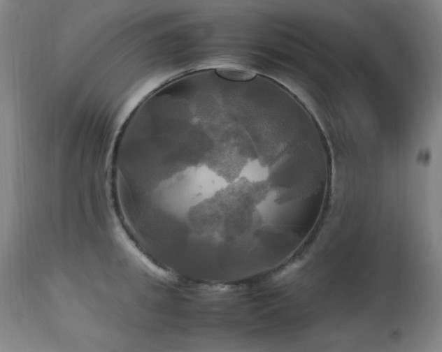 X0000112970949200908271138