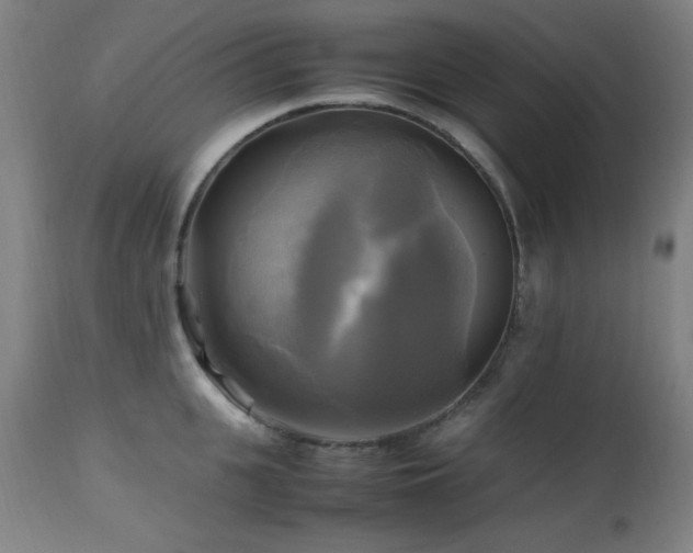 X0000112970951200908271138