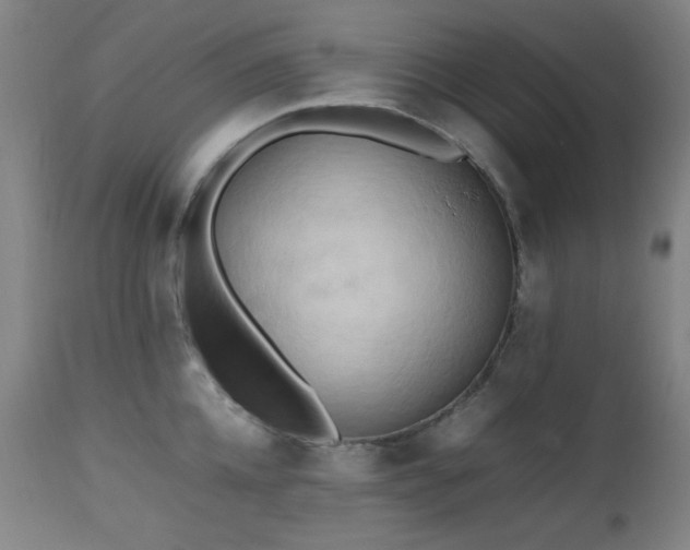 X0000112970952200908271138