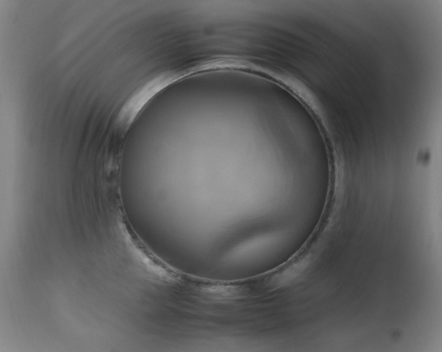 X0000112970953200908271138