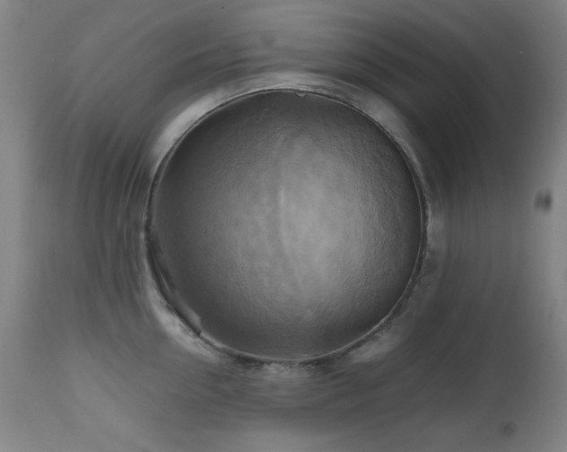 X0000112970954200908271139