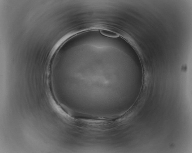 X0000112970955200908271139