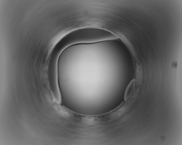 X0000112970956200908271139