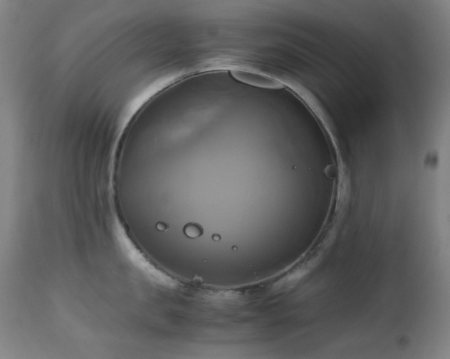 X0000112970957200908271139