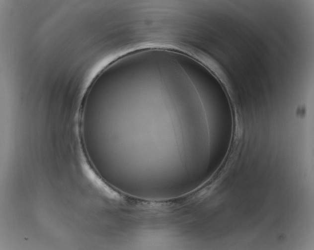 X0000112970958200908271139