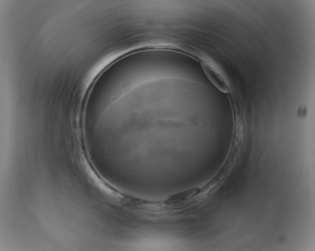 X0000112970959200908271139