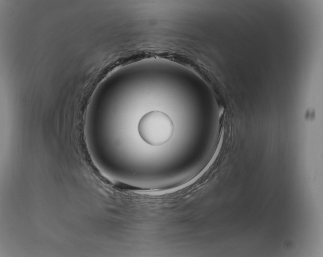 X0000112970961200908271138