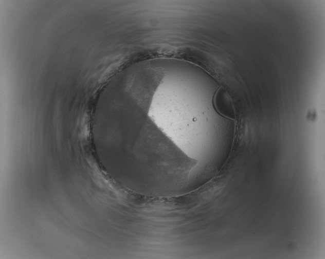 X0000112970962200908271138
