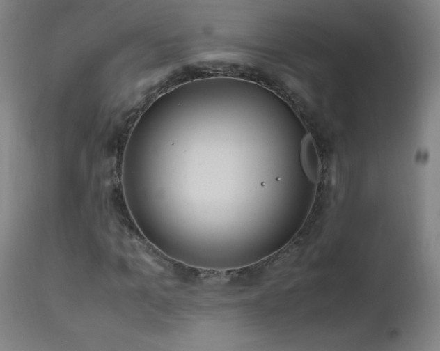 X0000112970965200908271138