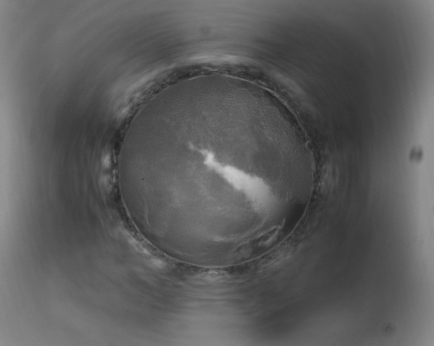 X0000112970966200908271138