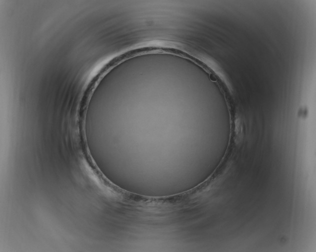 X0000112970972200908271138