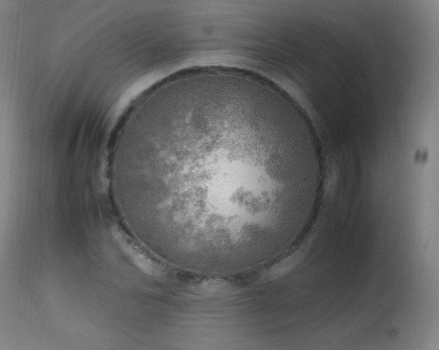 X0000112970974200908271138