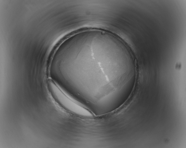 X0000112970976200908271138