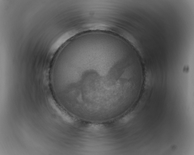 X0000112970978200908271137