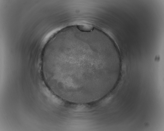 X0000112970979200908271137
