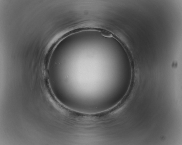 X0000112970981200908271137
