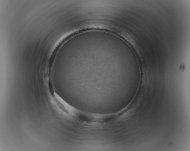 X0000112970984200908271137