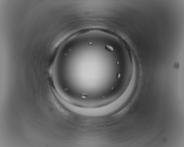 X0000112970985200908271137
