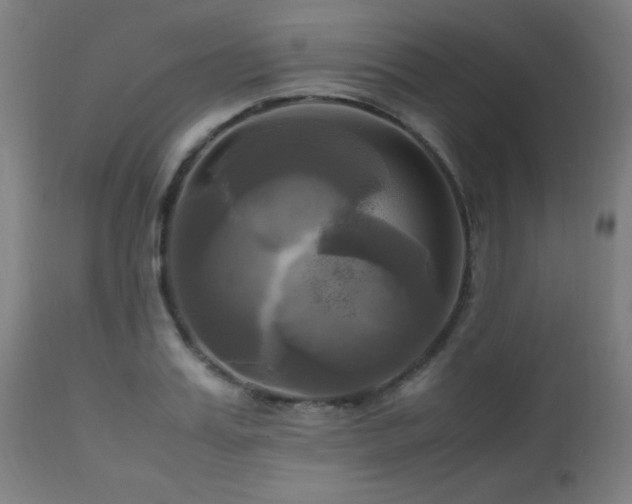 X0000112970987200908271137