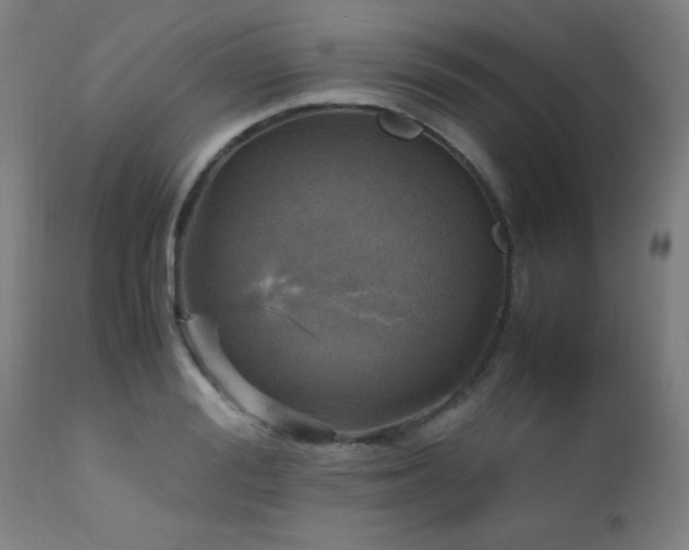 X0000112970988200908271137