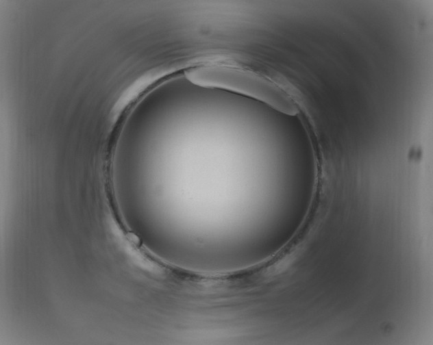 X0000112970989200908271137