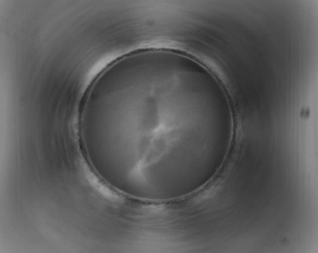X0000112970990200908271137