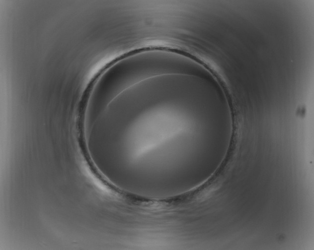 X0000112970991200908271137