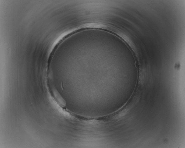X0000112970992200908271137