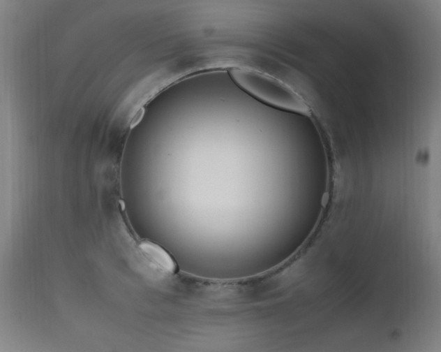 X0000112970993200908271137