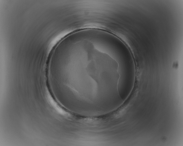 X0000112970995200908271137
