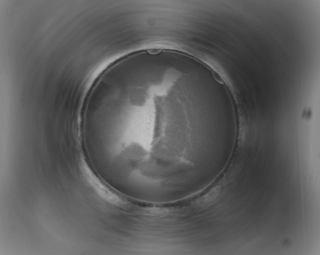 X0000112970996200908271137