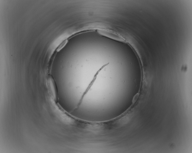 X0000112970997200908271137