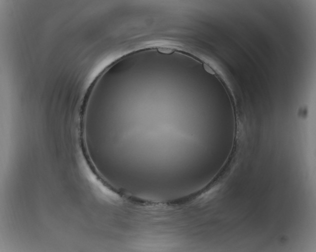 X0000112970999200908271137