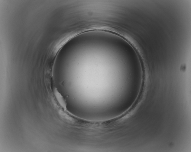X0000112971001200908271137