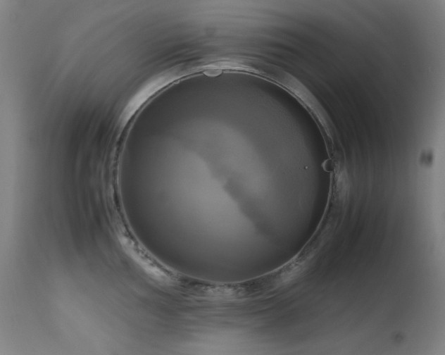 X0000112971002200908271137