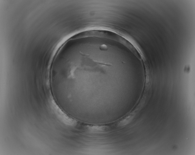 X0000112971004200908271137