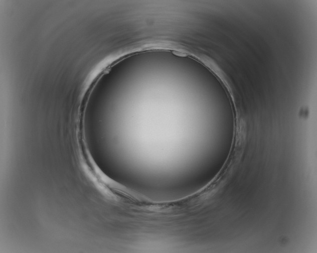 X0000112971005200908271137