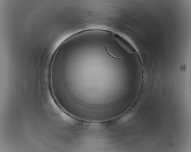 X0000112971007200908271137