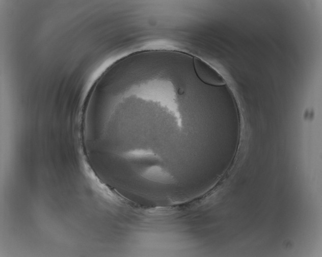 X0000112971008200908271137