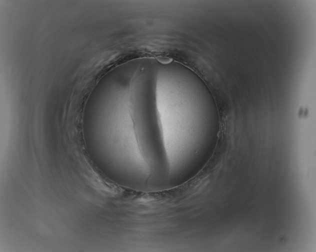X0000112971009200908271136